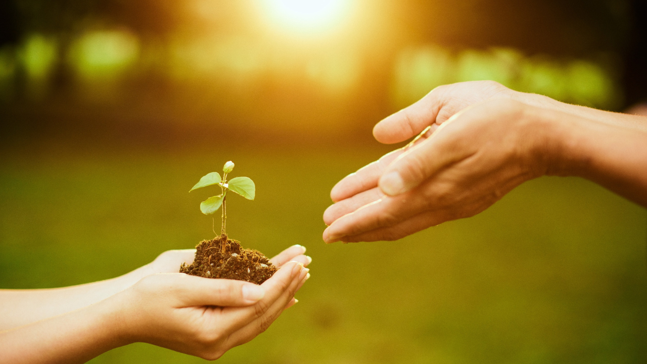 Community Partnerships